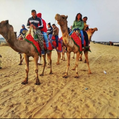 Group Camel safari